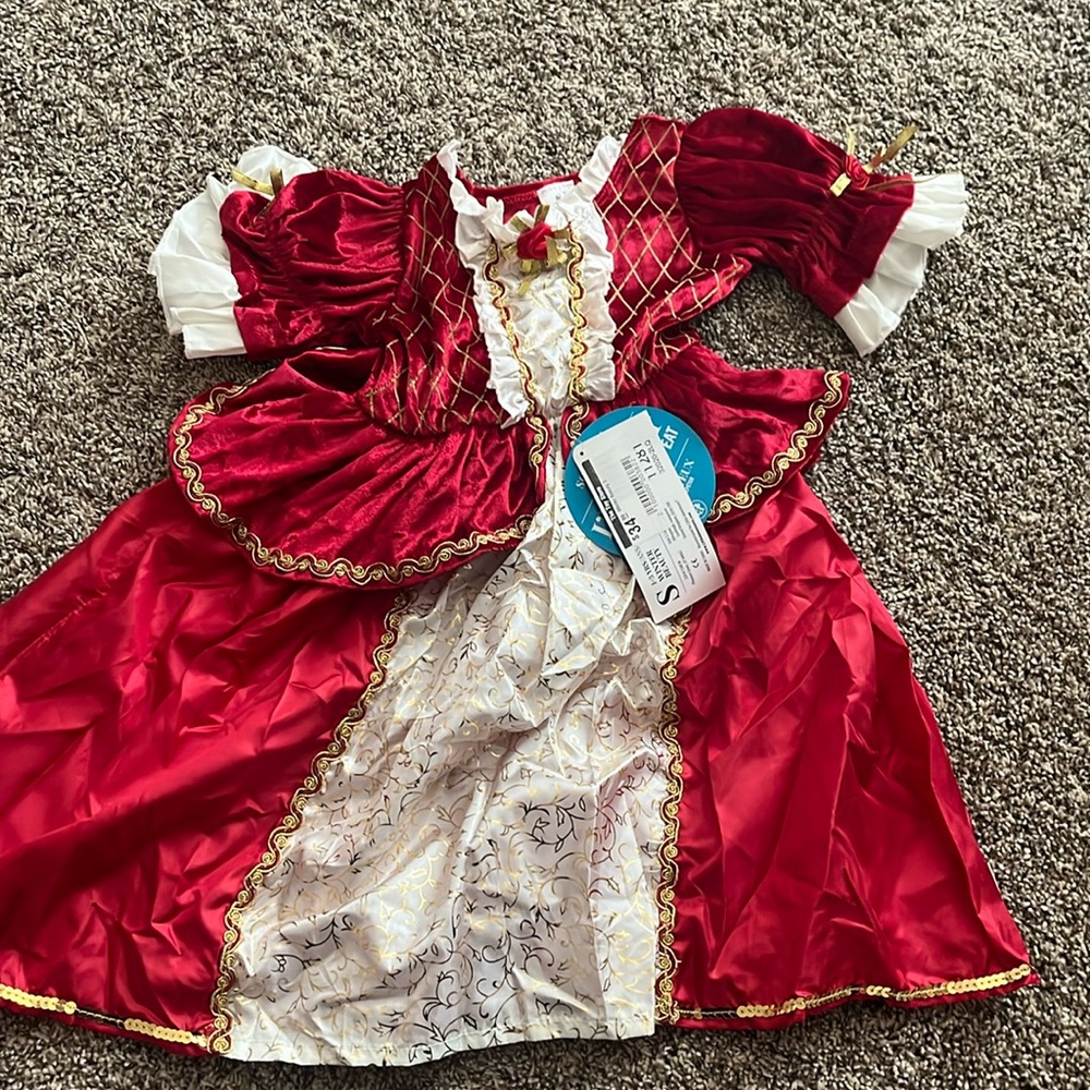 COPY - Winter princess dress up